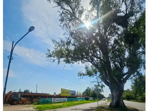 Oficinas Premium triple A, Rosario