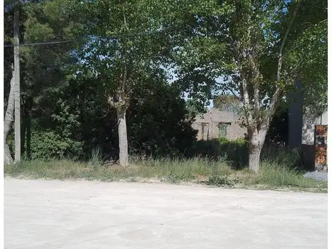 Terreno en Venta 33  mts Fondo