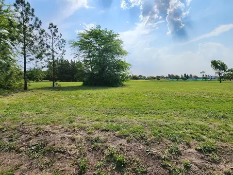 Medal Country Club