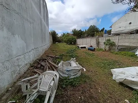 Vieytes 400
