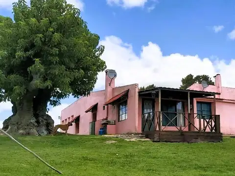 Camino Sierra de los Caracoles