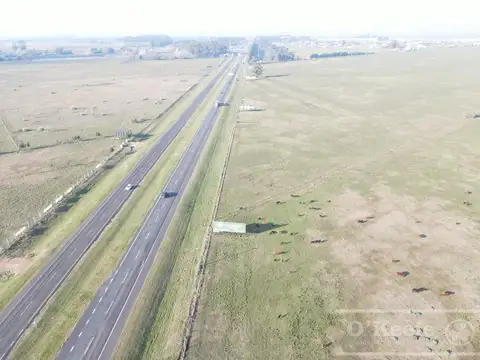 Campo en venta 106 has Brandsen Apto Desarrollo