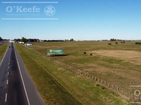 Campo en venta 106 has Brandsen. Apto  Desarrollo