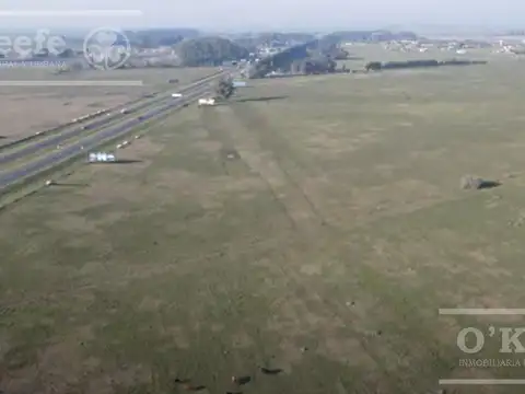 Campo en venta 106 has Brandsen Apto Desarrollo