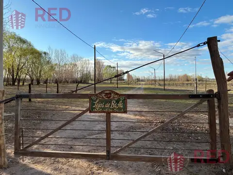 Terreno en Venta en Senillosa, Confluencia