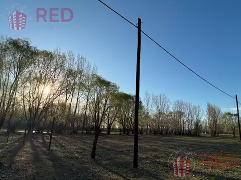 Lote 12 B