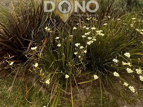Casa en Alquiler de 3 dormitorios