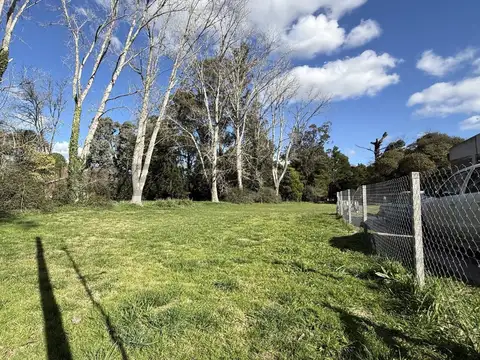 Los Claveles 100, Piso 0