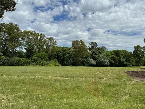 Terreno en Venta 31  mts Fondo