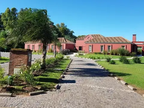 Almafuerte 1500