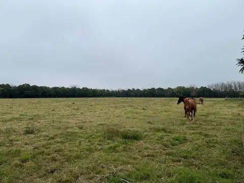 VENTA / AMPLIO TERRENO / 3 HECTÁREAS / ATALIVA