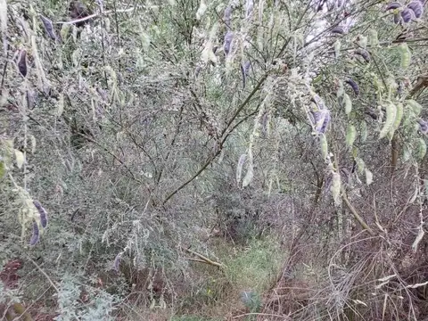 Las Balsas