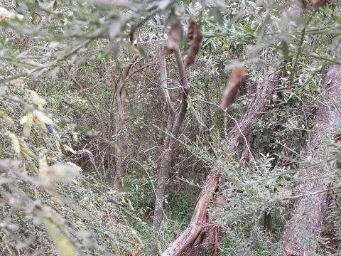 Las Balsas
