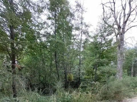 Terreno en Venta en Las Balsas, USD 70.000