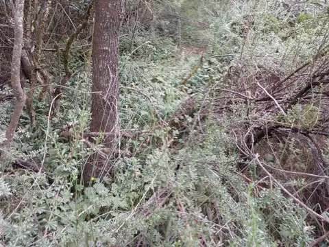 Terreno en Venta de 787,0 m2
