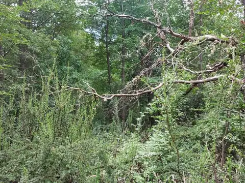 Terreno en Venta, FOS 15