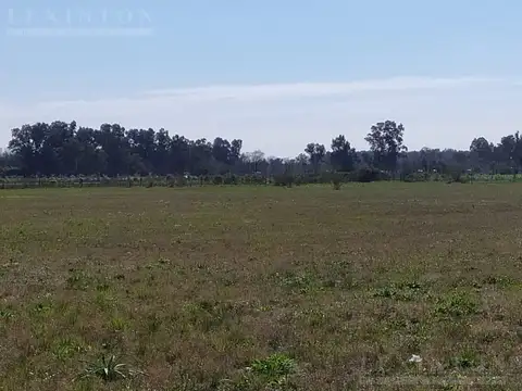 Terreno en Venta de 4700,0 m2