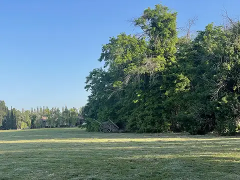 Terreno en Venta de 4900,0 m2