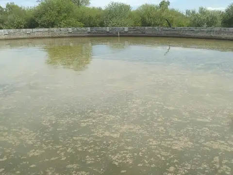 Zona  Garza Santiago Del Estero  campo ganadero 1063 has