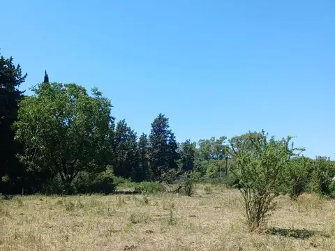 Güemes 300