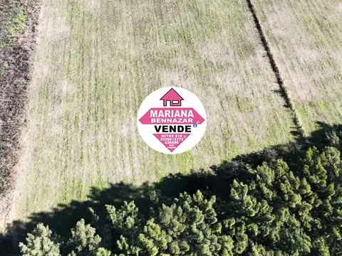Terreno en Venta 50  mts Fondo