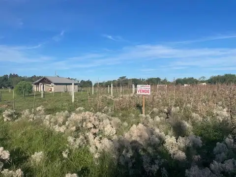 Terreno en Venta de 625,0 m2