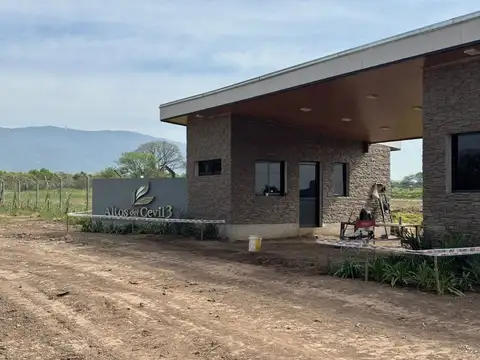 Alto de Cebil 3