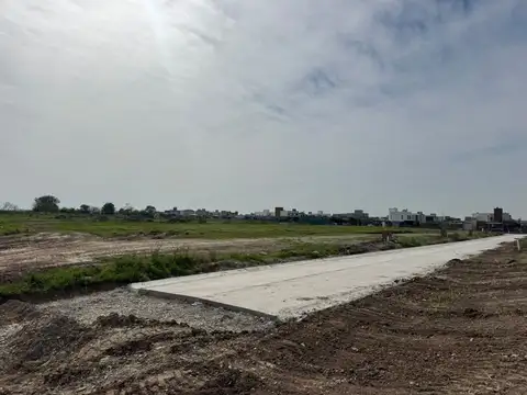 Alto de Cebil 3