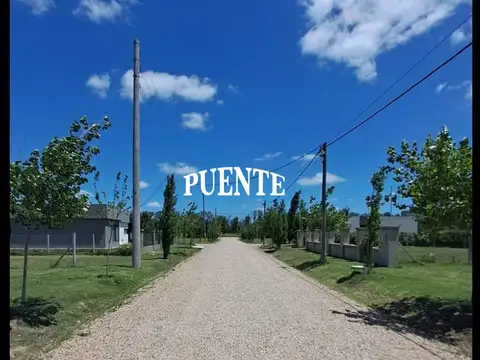 Estilo Campo