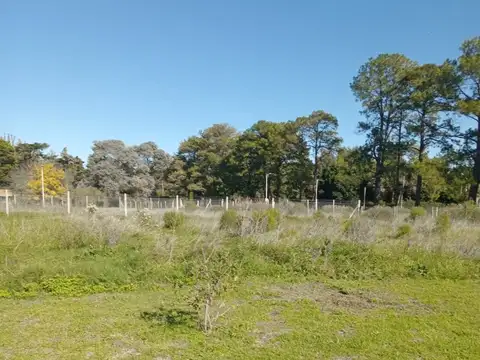 Terreno en Venta de 930,0 m2