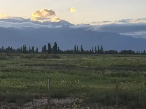 Campo 25000 m2 en Venta en Altamira Valle de Uco