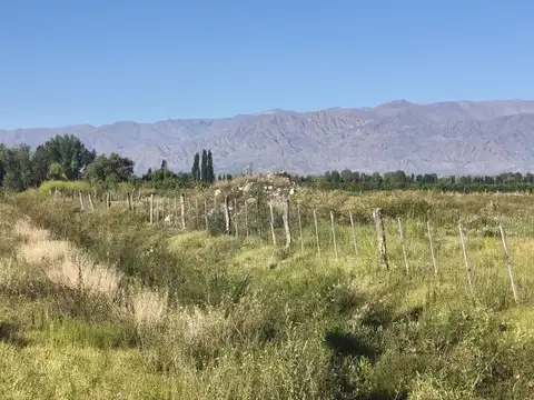 Ghilardi