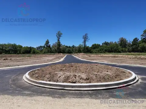 La Estela