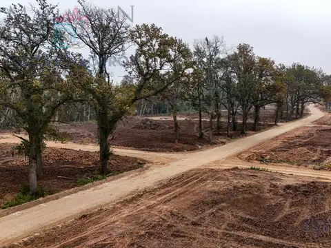 Terreno en Pilar