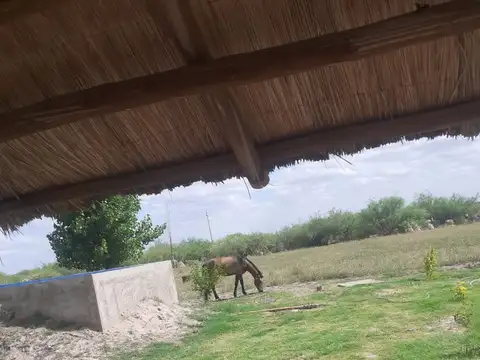 Venta Finca Con Pileta La Dormida Santa Rosa Mza