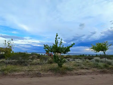 LOTE EN VENTA - TERRAZAS - CHOCON MEDIO