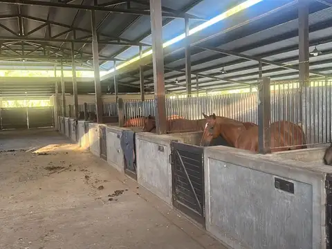 Terreno en Venta de 1433,0 m2