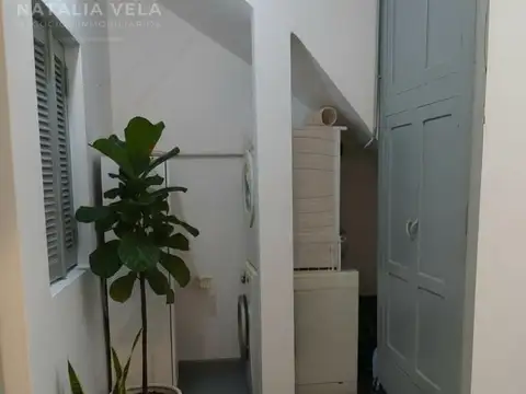 Paunero al 100