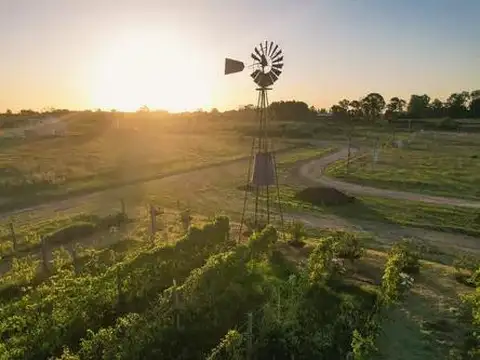 Terreno en venta - 683mts2 - Mariano Acosta 