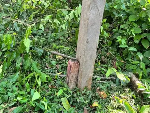 Terreno en Venta 35,74  mts Fondo