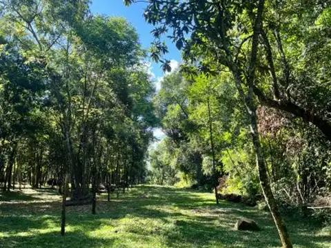 TERRENO VENTA MISIONES IDEAL EMPRENDIMIENTO CABAÑAS