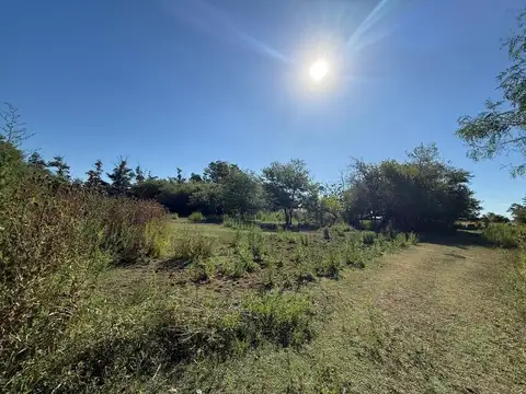 Terreno en Venta en Villa Lia, USD 220.000