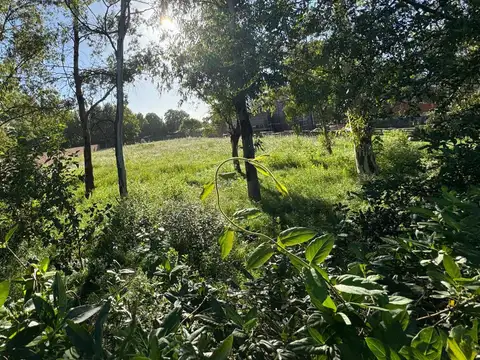 Avenida Hector Arregui 2700