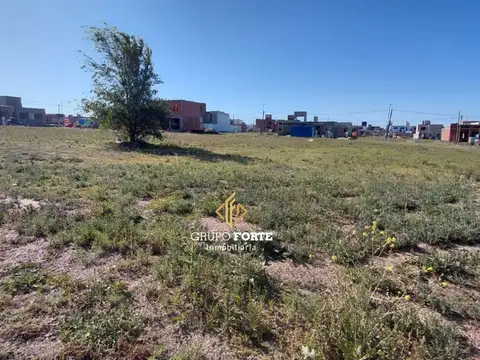 Docta Avenida
