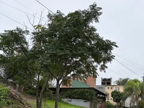 Cuesta Del Totoral 814 814