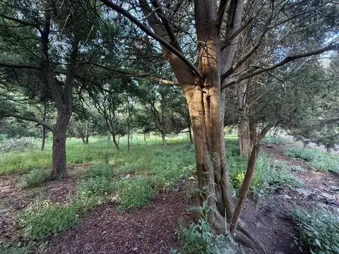 Terreno en Venta 44,51  mts Frente