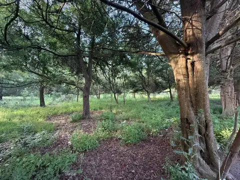 Venta de lote en Mar del Plata.