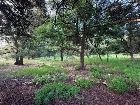 Terreno en Venta de 2448,0 m2