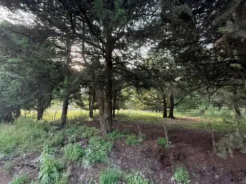 Terreno en Venta 55  mts Fondo