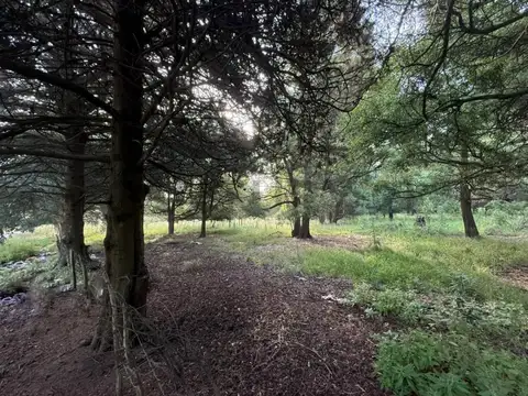 Terreno en Venta en Mar del Plata, USD 18.000